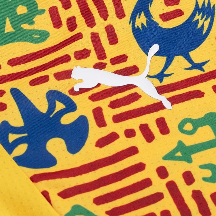 GHANA 25/26 TRAINING JERSEY