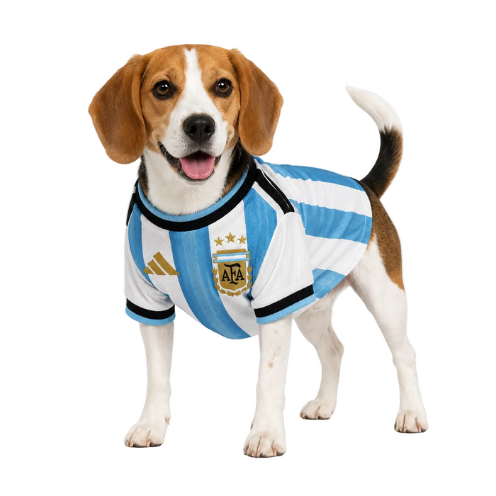 ARGENTINA PET 26 JERSEY
