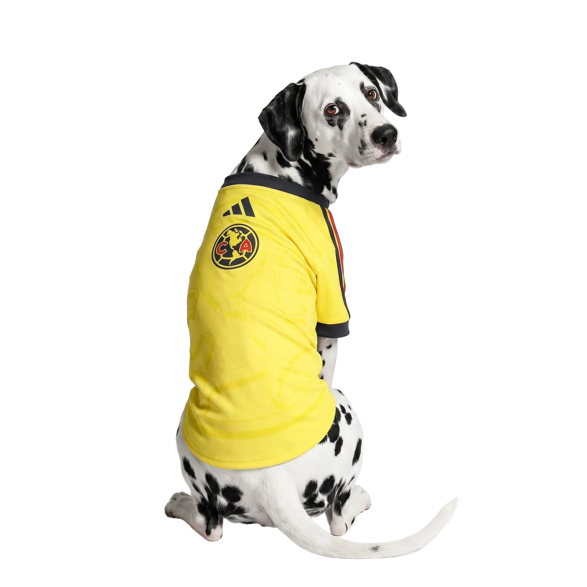 CLUB AMERICA PET 26/27 JERSEY