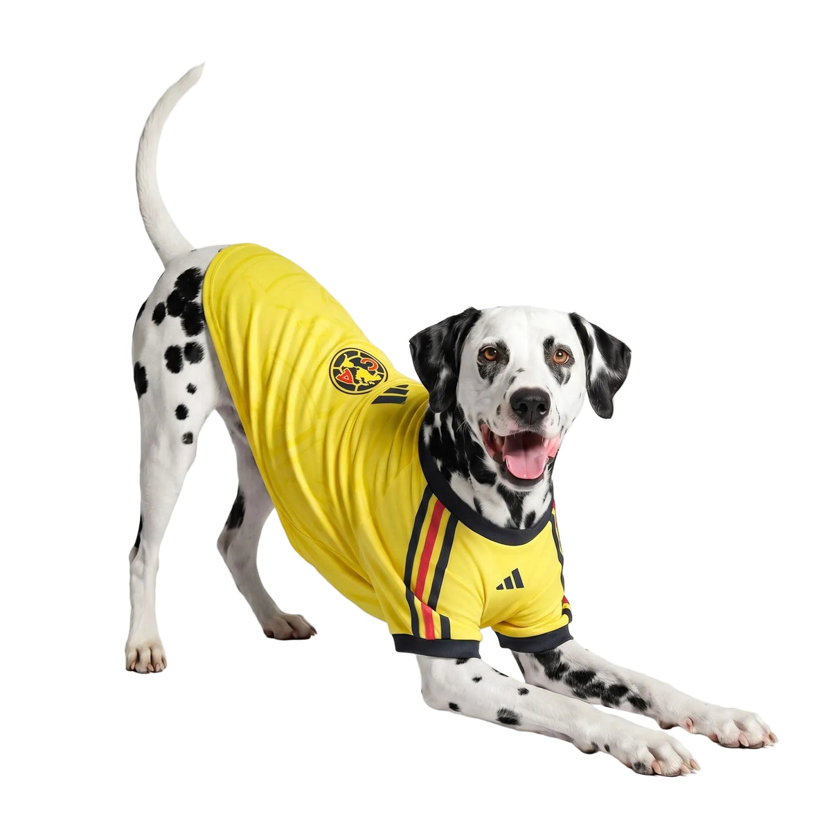 CLUB AMERICA PET 26/27 JERSEY
