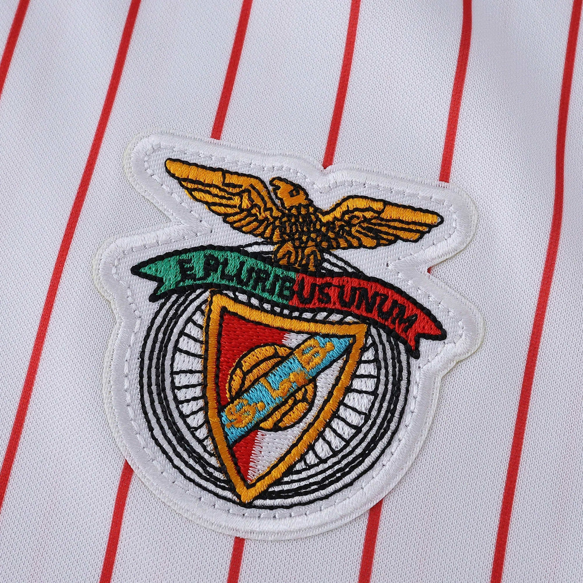 BENFICA 25/26 JERSEY