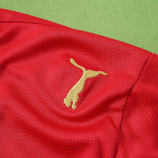 MOROCCO 26 HOME WORLD CUP JERSEY