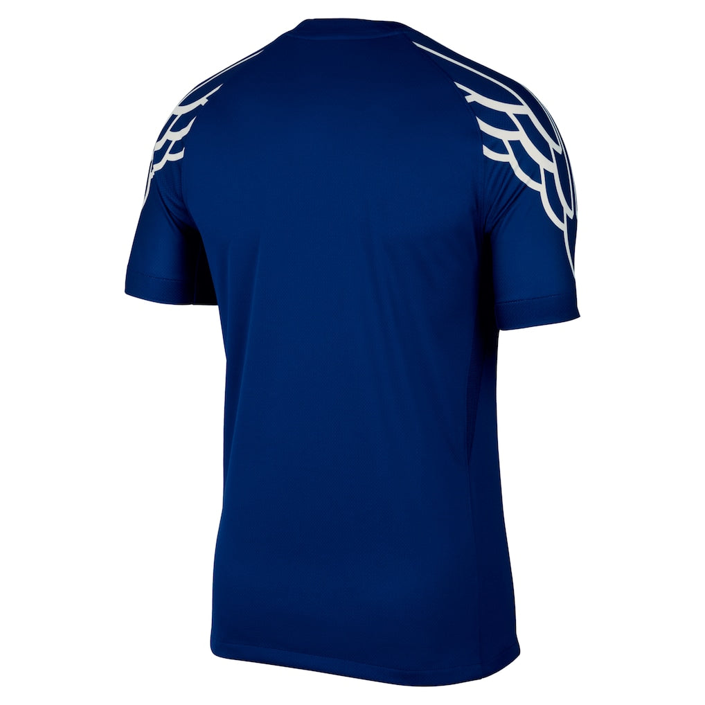 PSG 24 FOURTH JORDAN -25 JERSEY