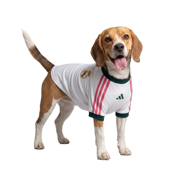 REAL MADRID PET 26/27 JERSEY