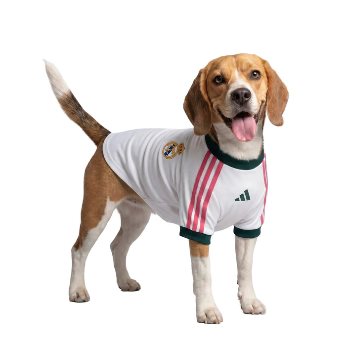 REAL MADRID PET 26/27 JERSEY