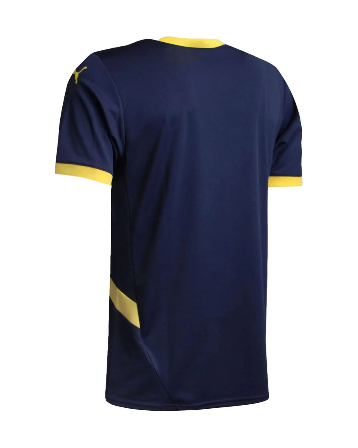FENERBAHÇE 24/25 FOURTH JERSEY
