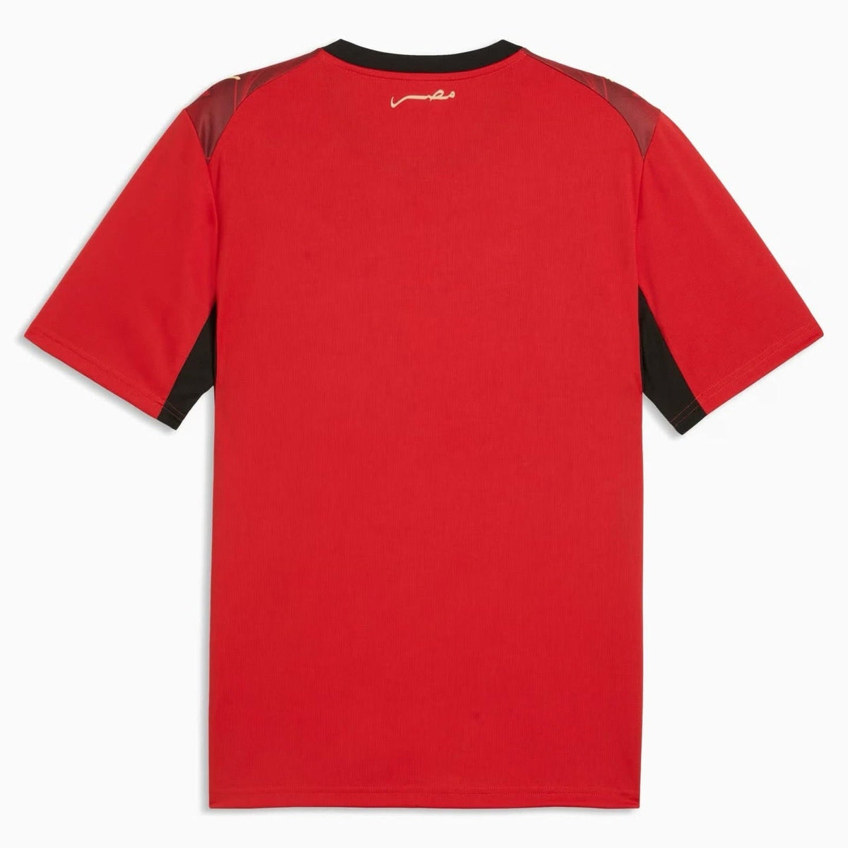 EGYPT 26 HOME WORLD CUP JERSEY