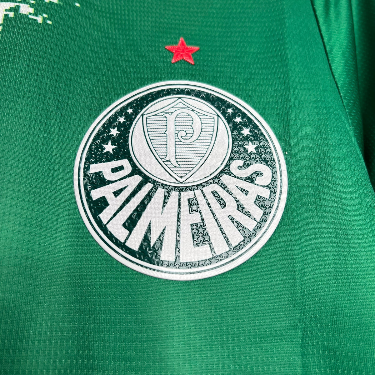 PALMEIRAS 24/25 SPECIAL EDITION II JERSEY