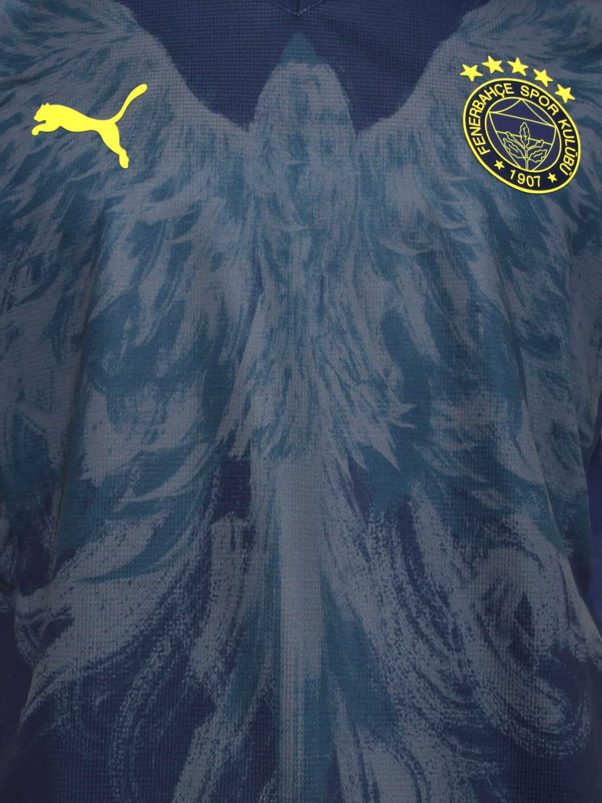 FENERBAHÇE 24/25 FOURTH JERSEY