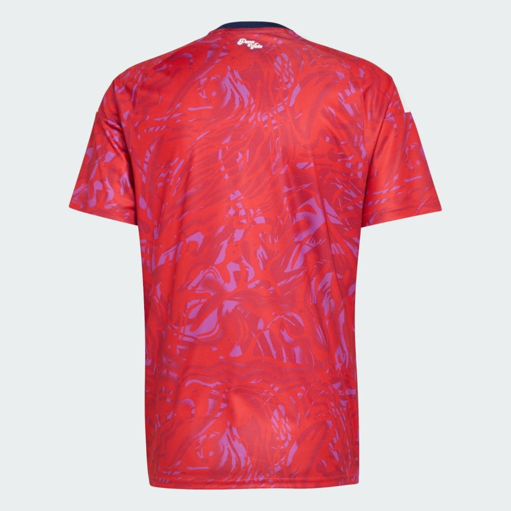 COSTA RICA 26/27 PLAYER HOME JERSEY
