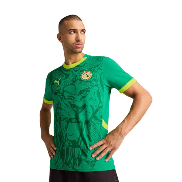 SENEGAL 25/26 AWAY JERSEY