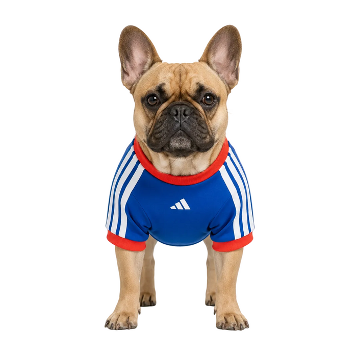 UNITED STATES PET 26 JERSEY