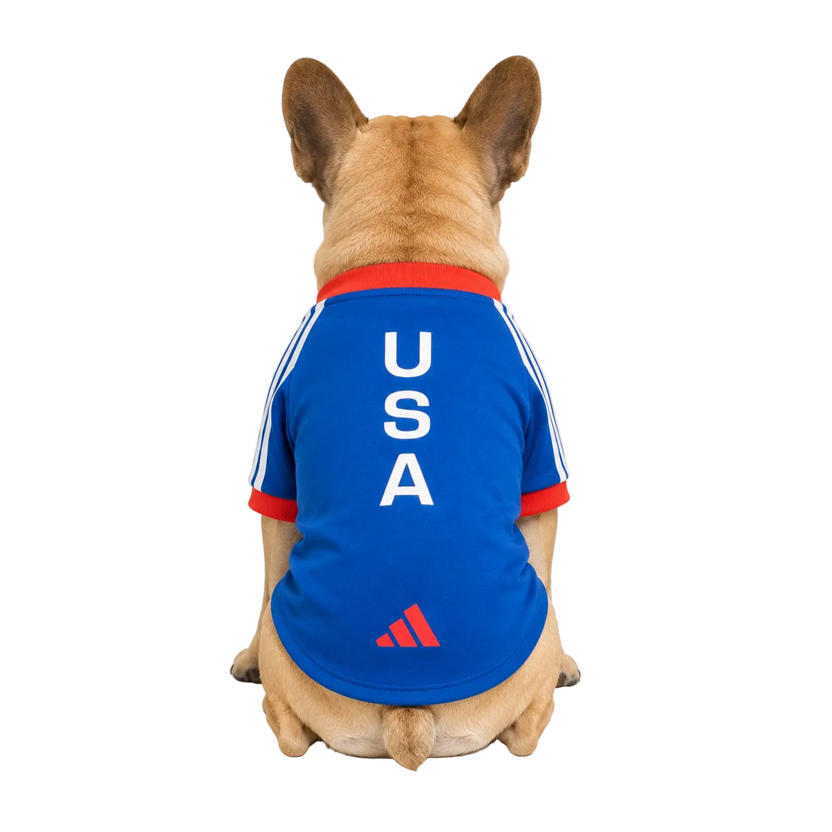UNITED STATES PET 26 JERSEY