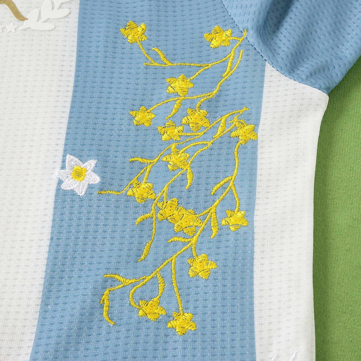 ARGENTINA EMBROIDERED JERSEY