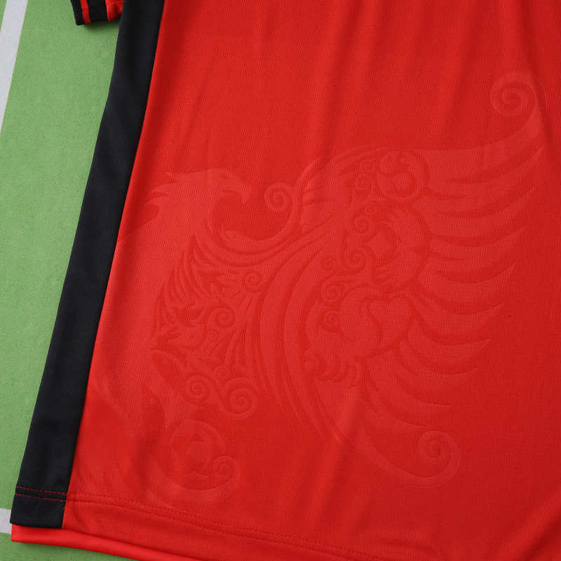 ALBANIA 25/26 HOME JERSEY