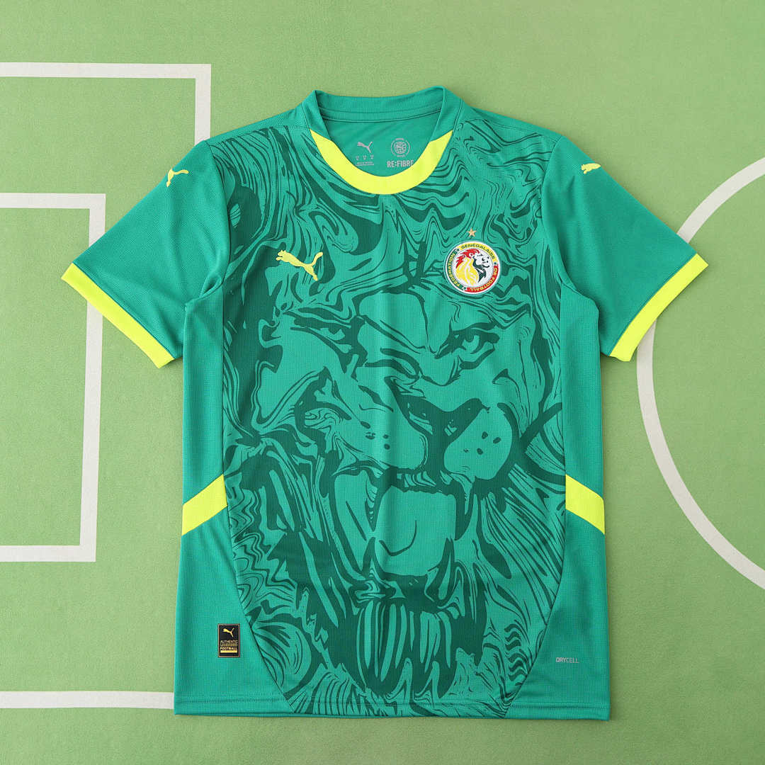 SENEGAL 25/26 AWAY JERSEY