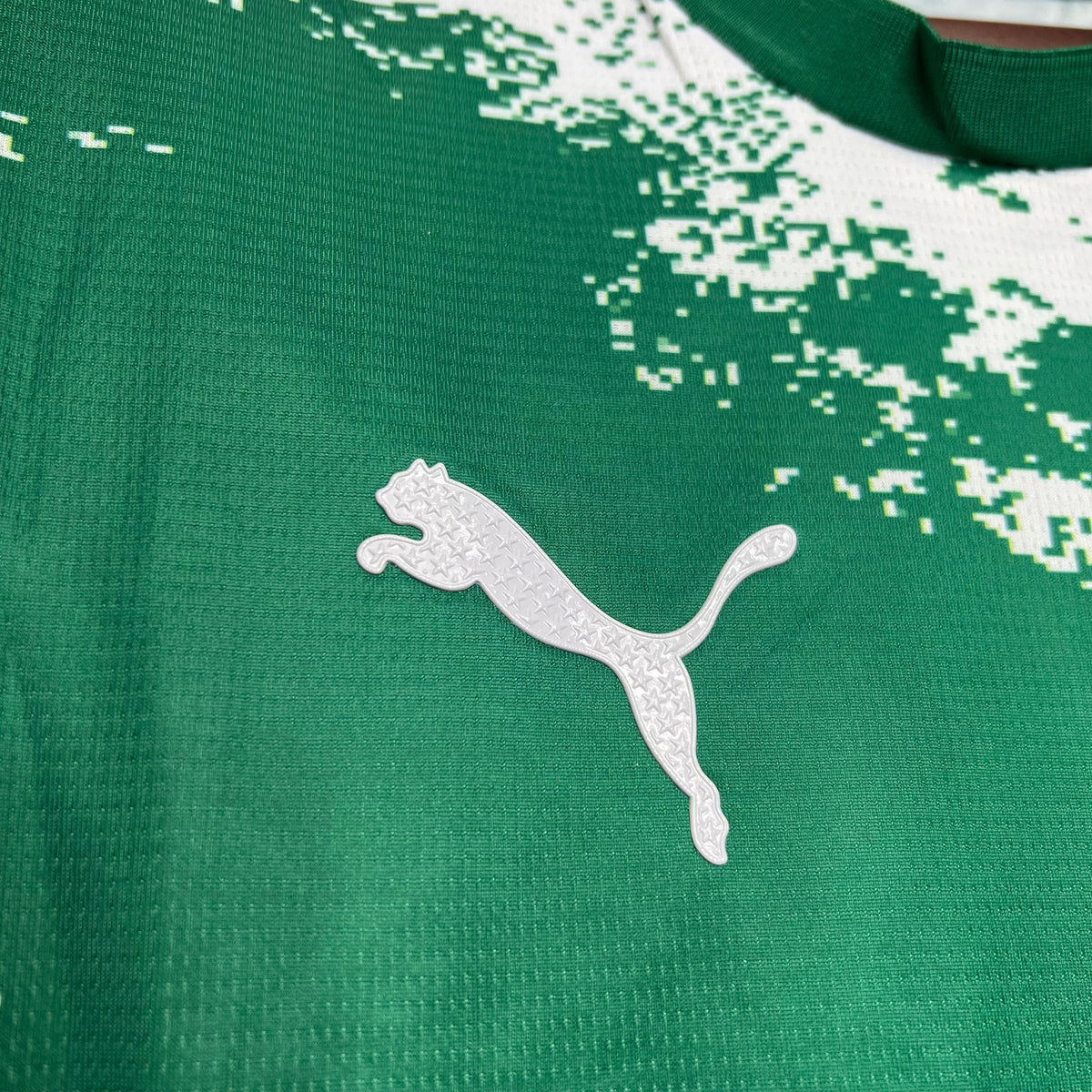PALMEIRAS 24/25 SPECIAL EDITION II JERSEY