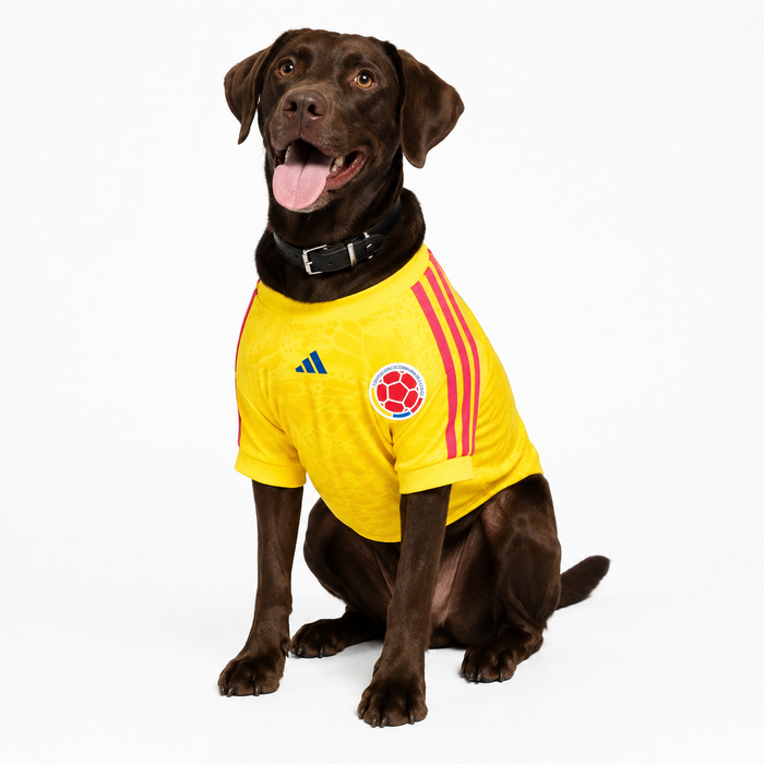 COLOMBIA PET 26 JERSEY