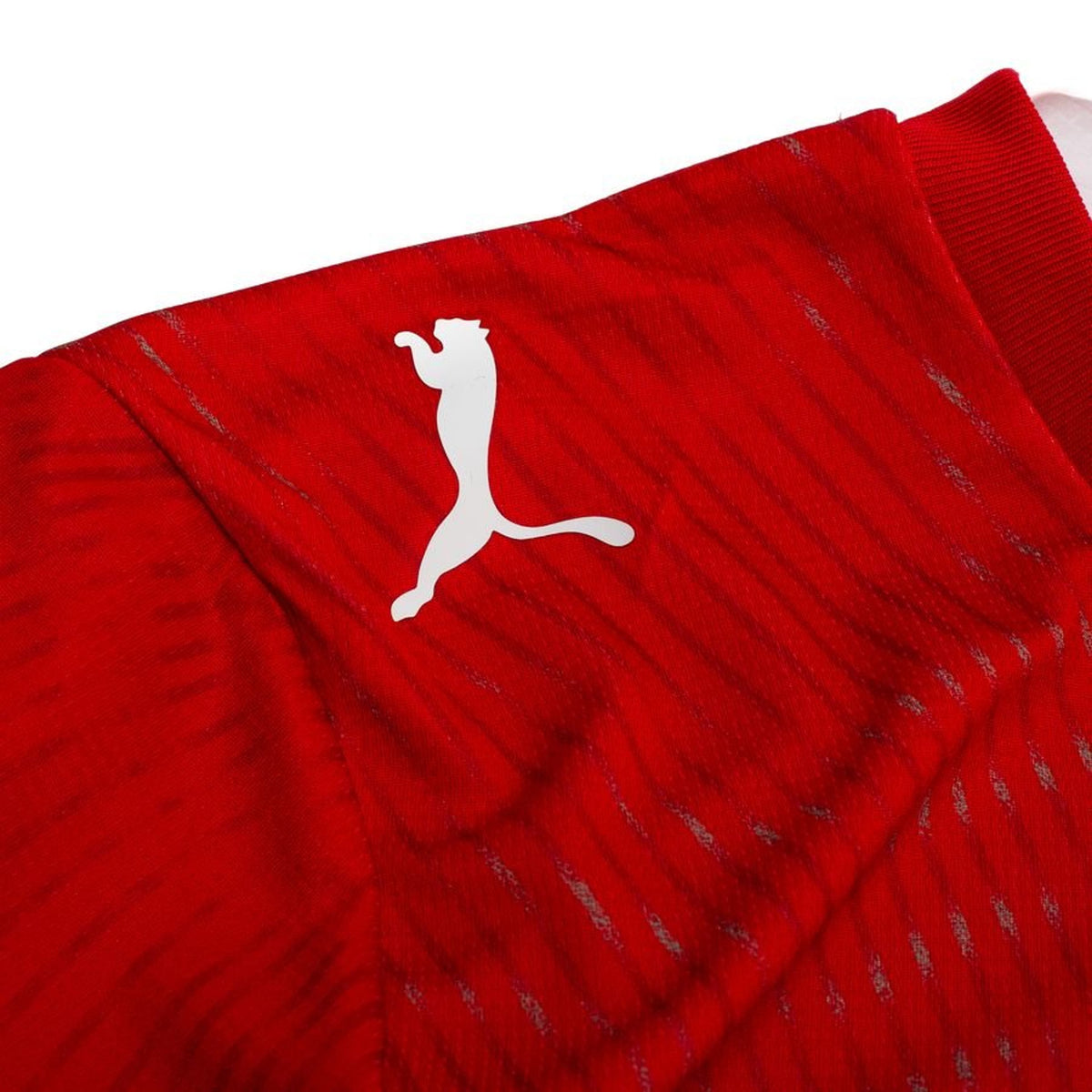 SWITZERLAND 26 HOME WORLD CUP JERSEY