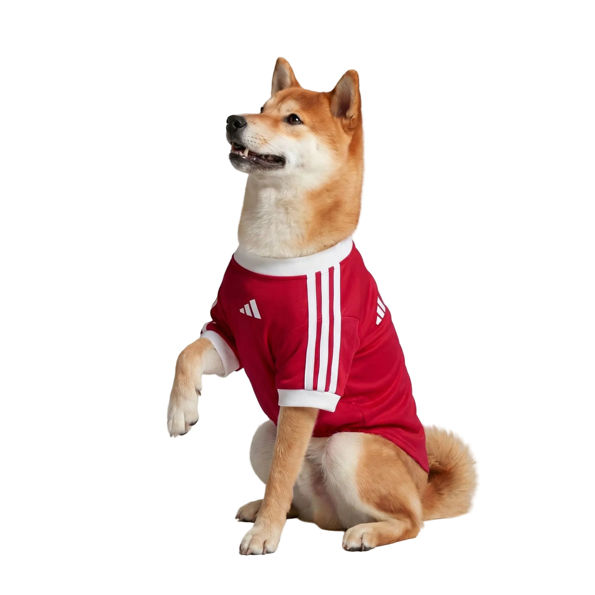 MANCHESTER UNITED PET 26/27 JERSEY