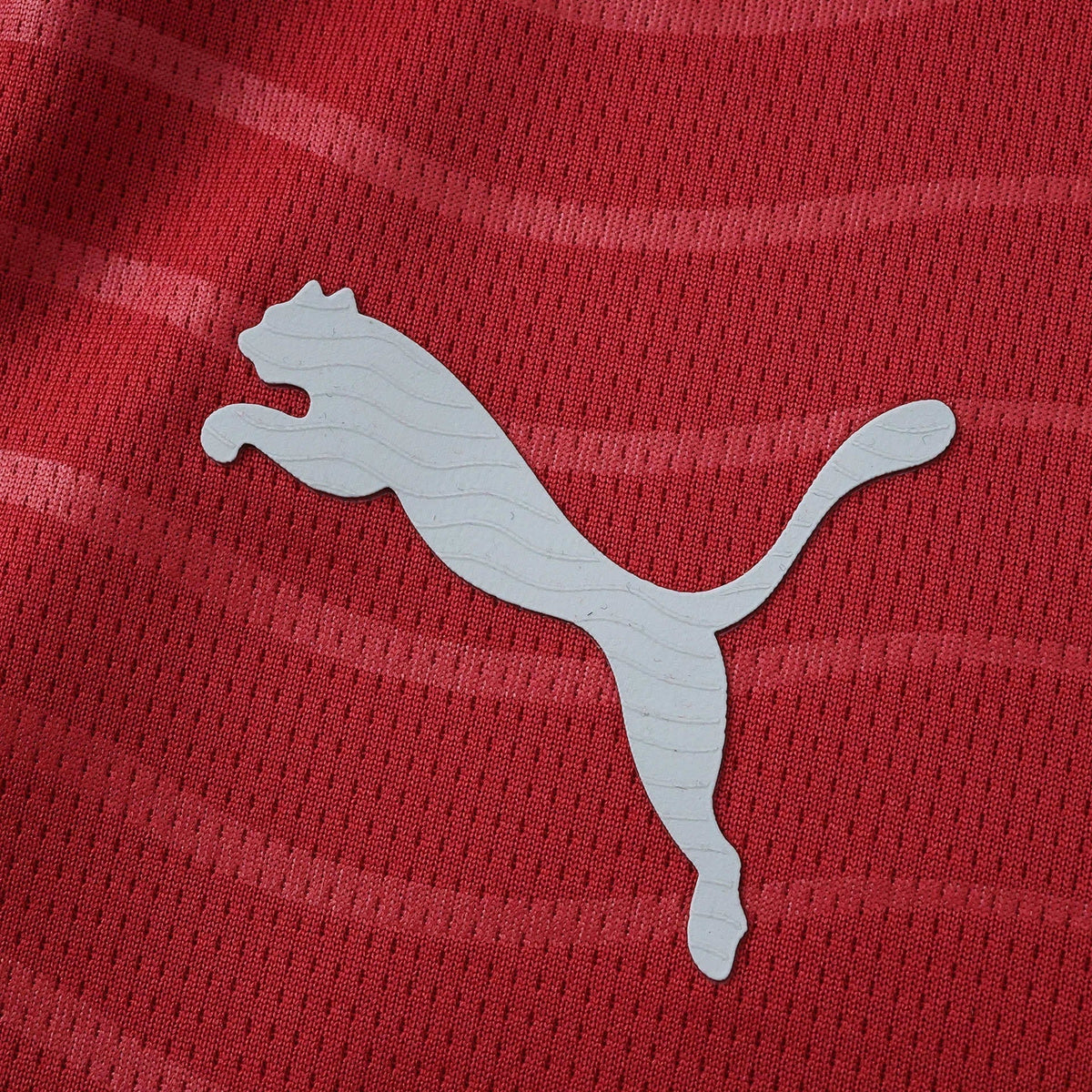 PORTUGAL 26/27 HOME LONG SLEEVE JERSEY