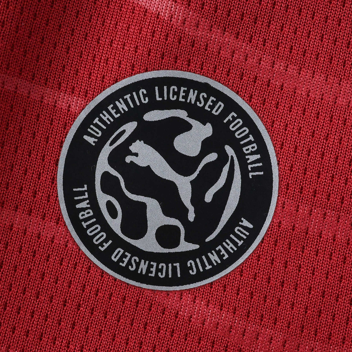 PORTUGAL 26/27 HOME LONG SLEEVE JERSEY