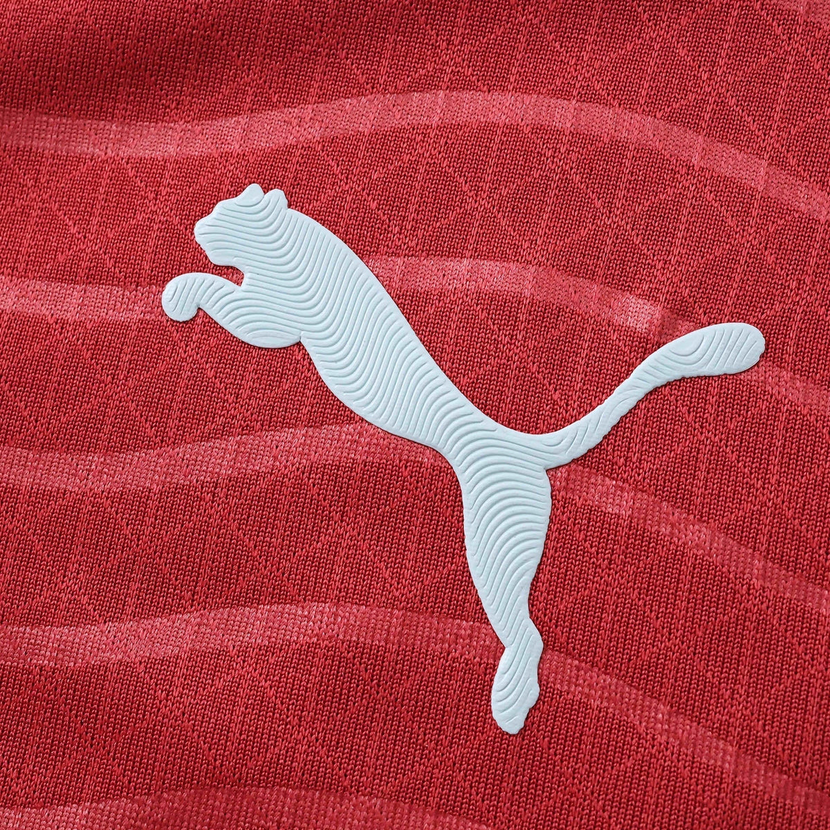 PORTUGAL 26/27 HOME LONG SLEEVE PLAYER JERSEY