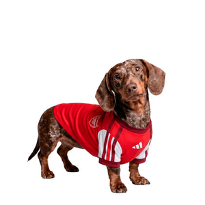 ARSENAL PET 26/27 JERSEY
