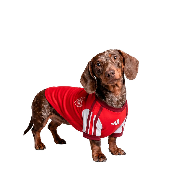 ARSENAL PET 26/27 JERSEY