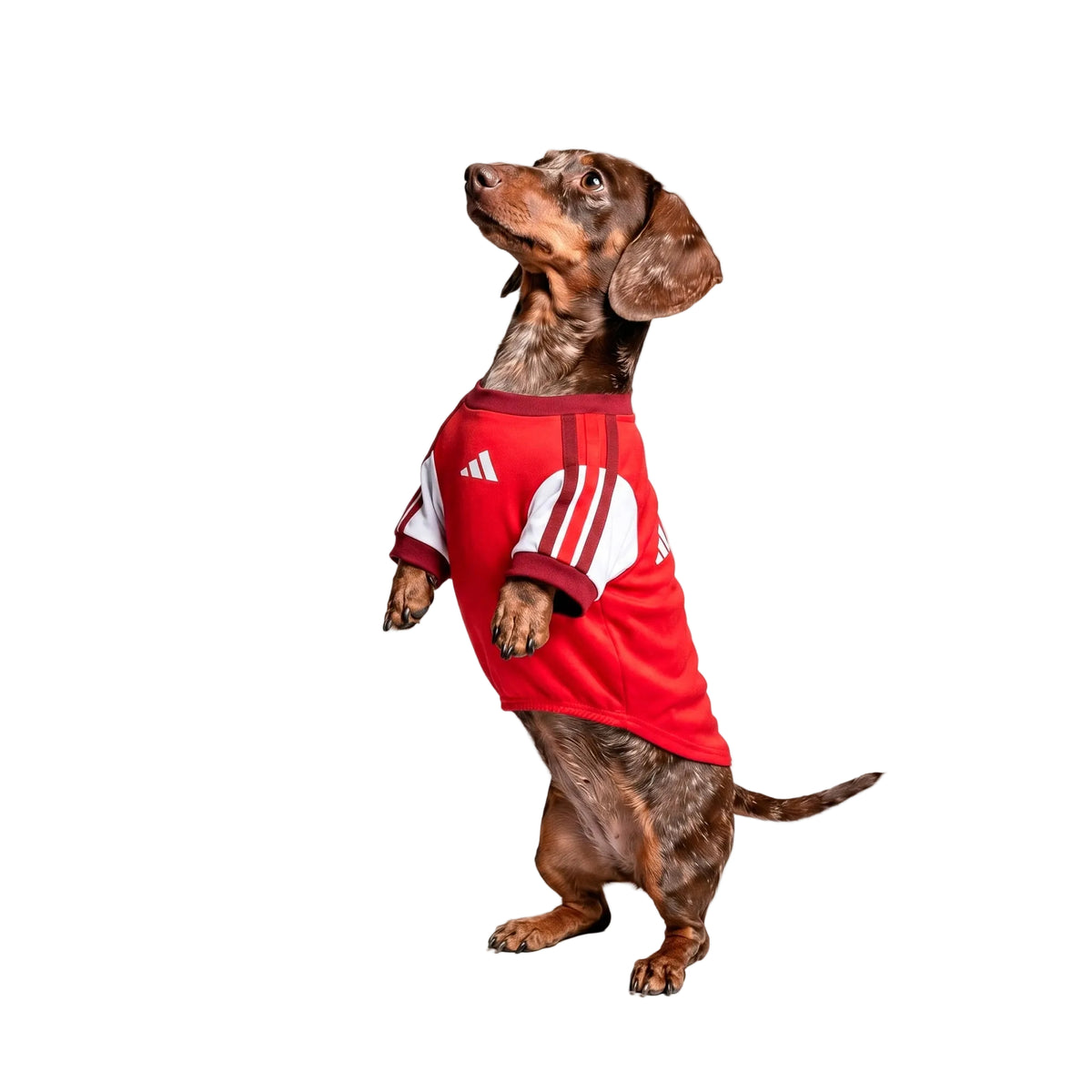 ARSENAL PET 26/27 JERSEY