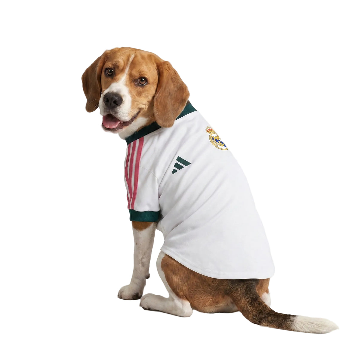 REAL MADRID PET 26/27 JERSEY