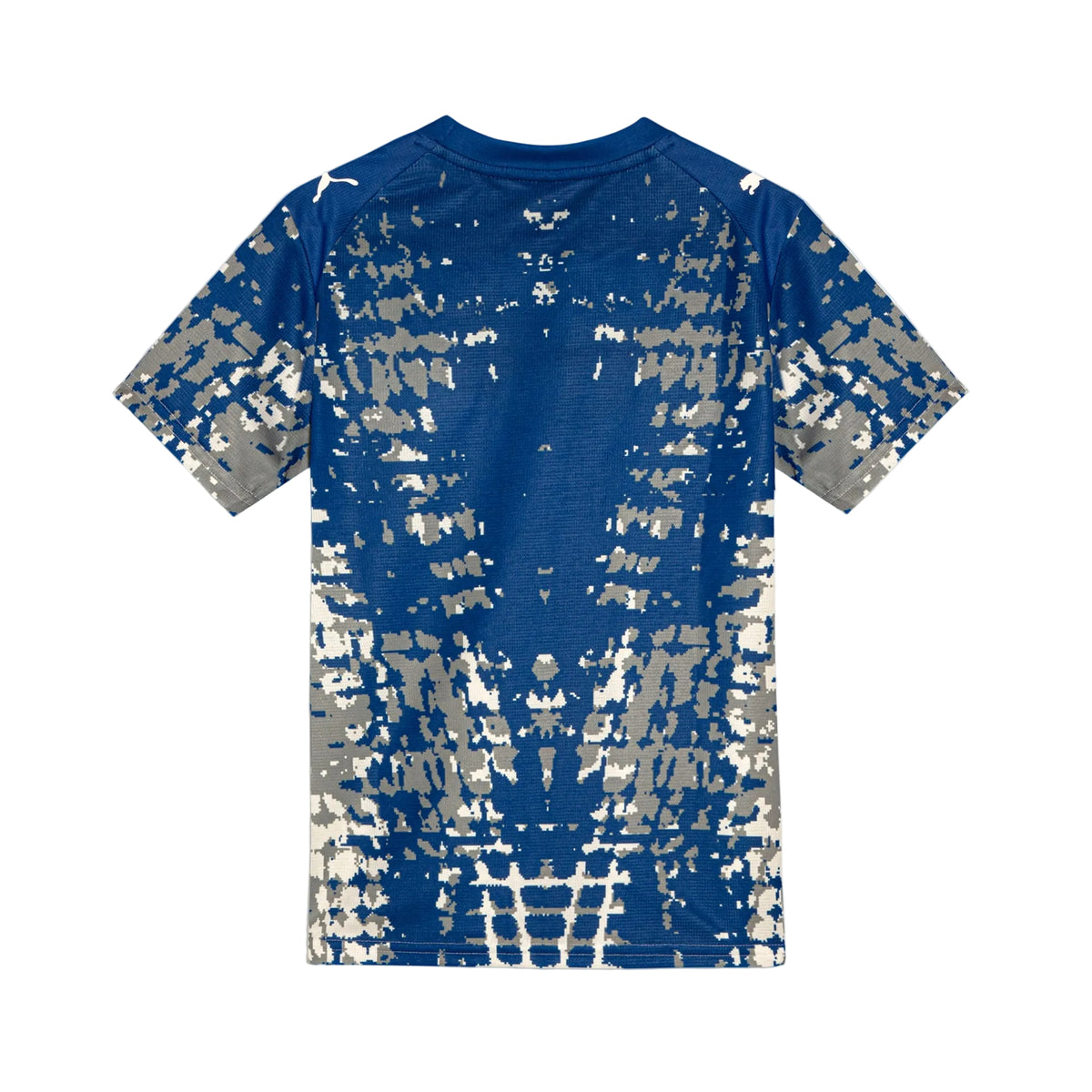 PALMEIRAS 26/27 SPIDER SPECIAL EDITION GOALKEEPER JERSEY